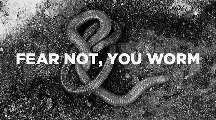 Fear Not, You Worm